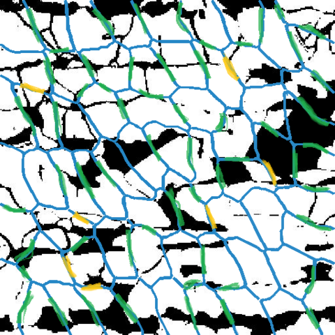 Prediction of the geometric location of coarse space constraints.
